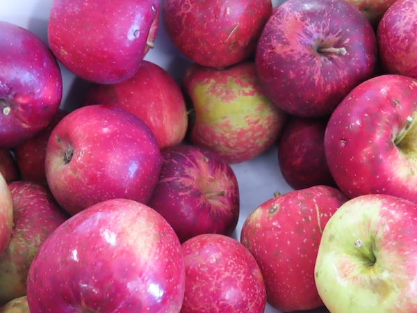 Apples