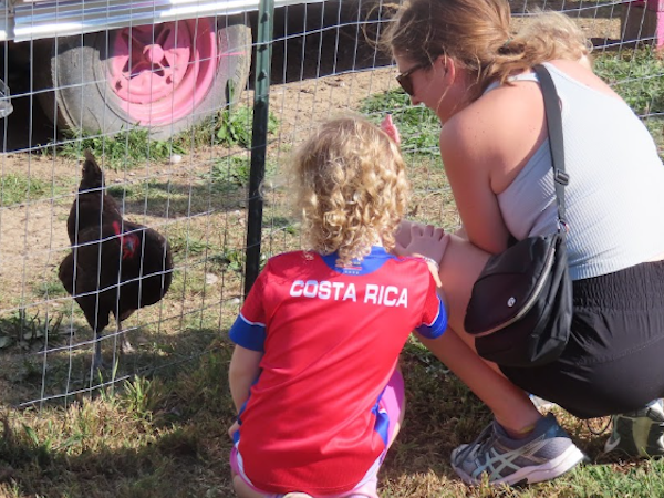 GROW Chickens