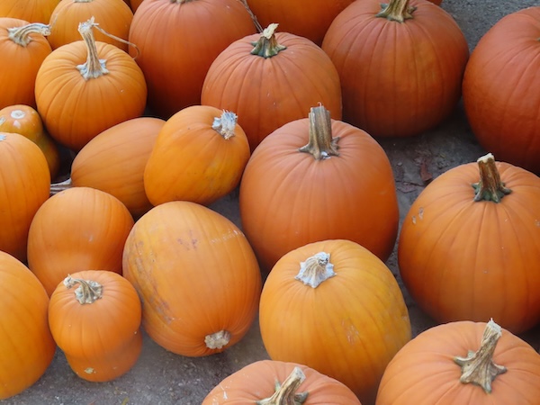 Pumpkins